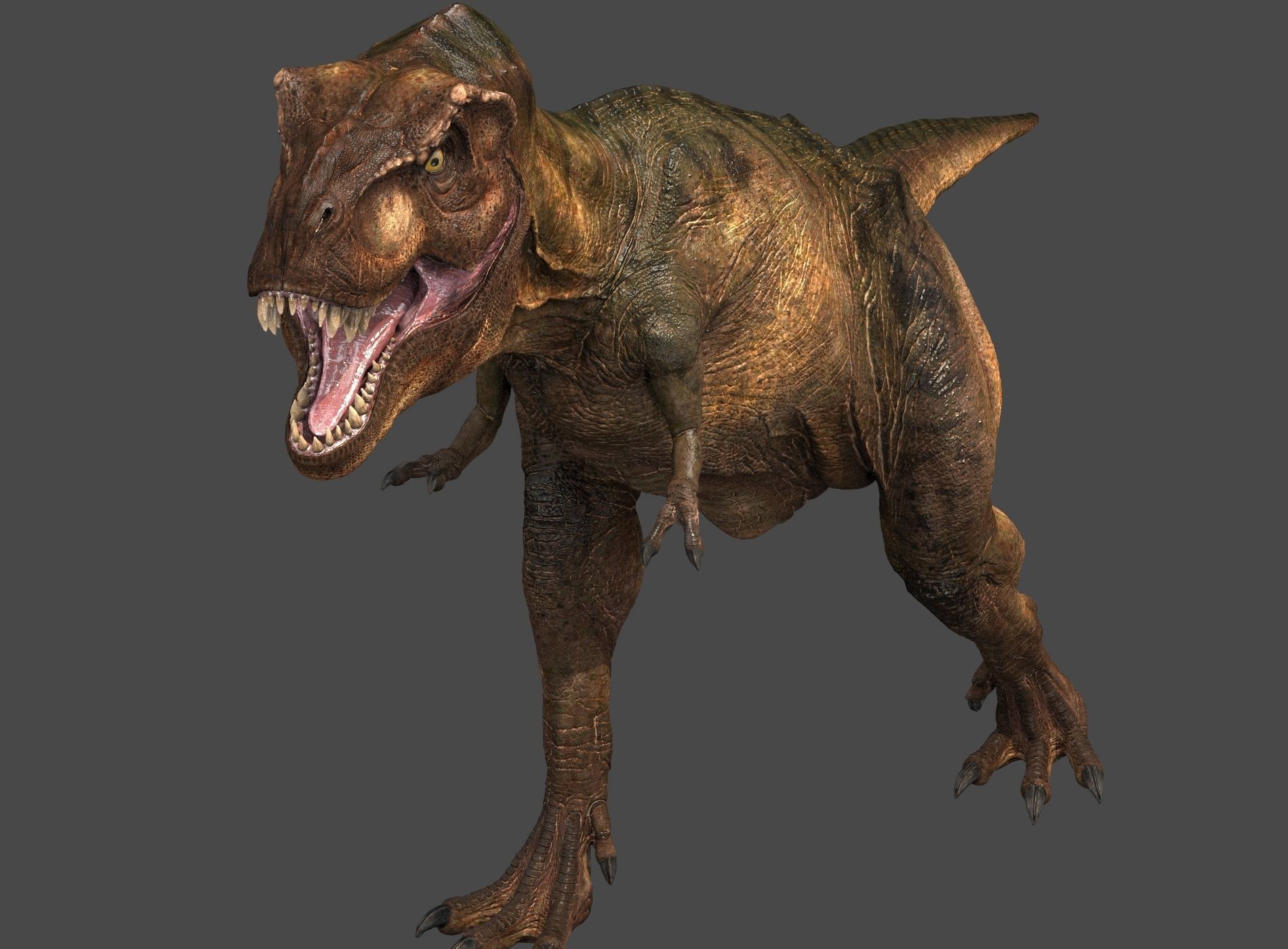Tyrannosaurus Rex-Animations 3D model_15