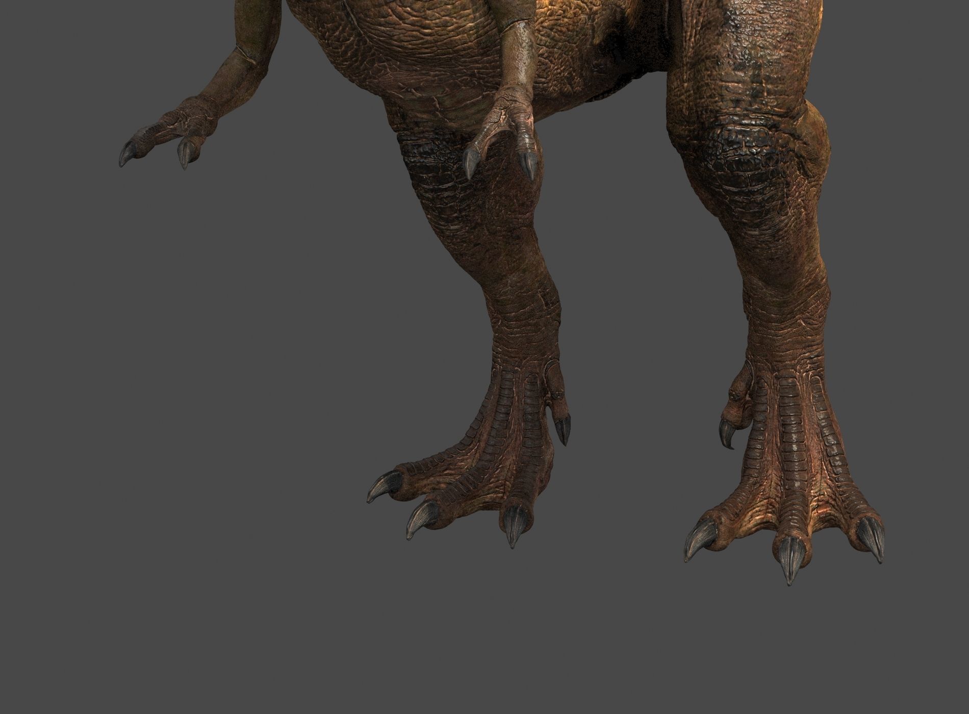 Tyrannosaurus Rex-Animations 3D model_9