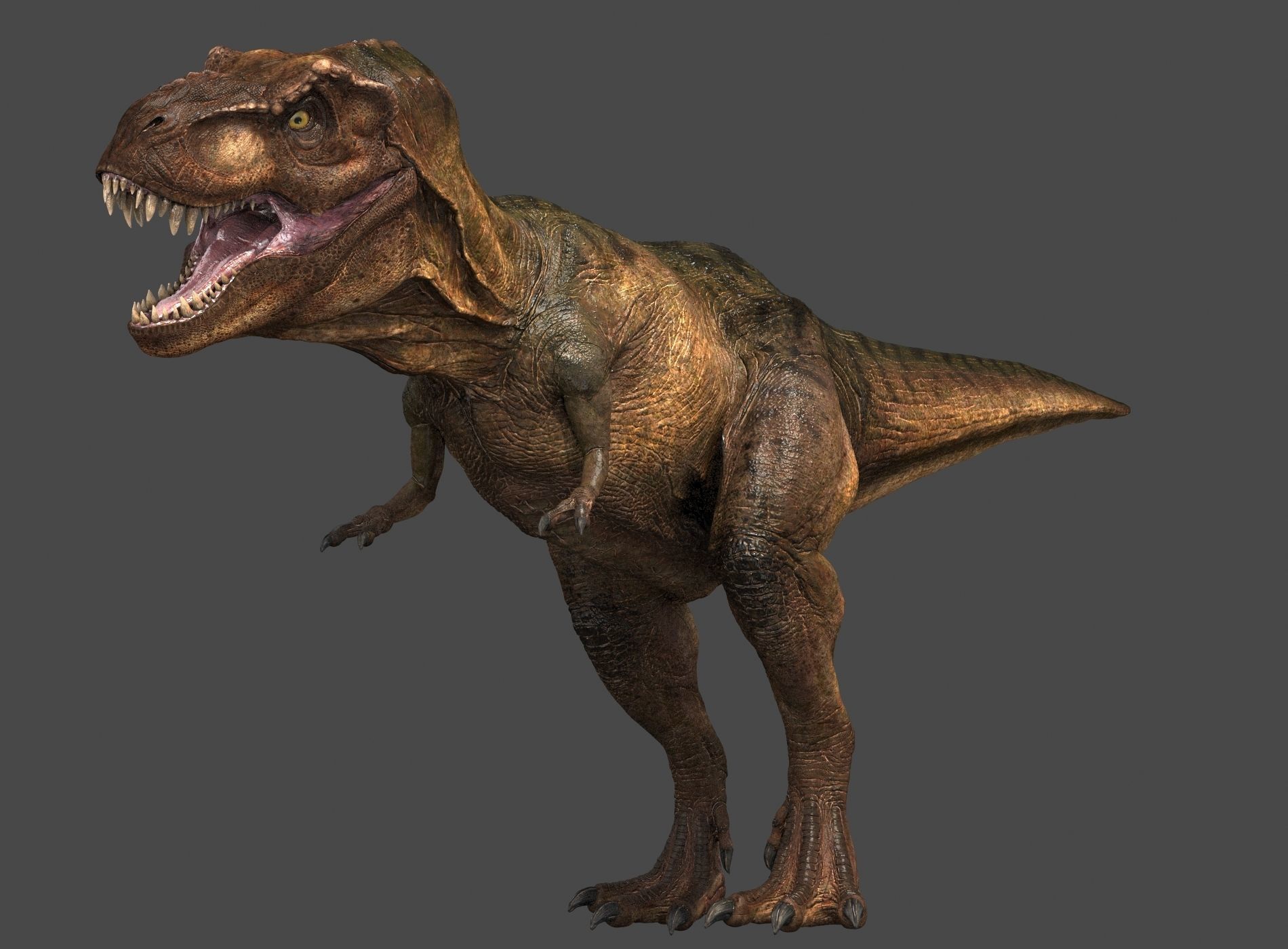 Tyrannosaurus Rex-Animations 3D model_11