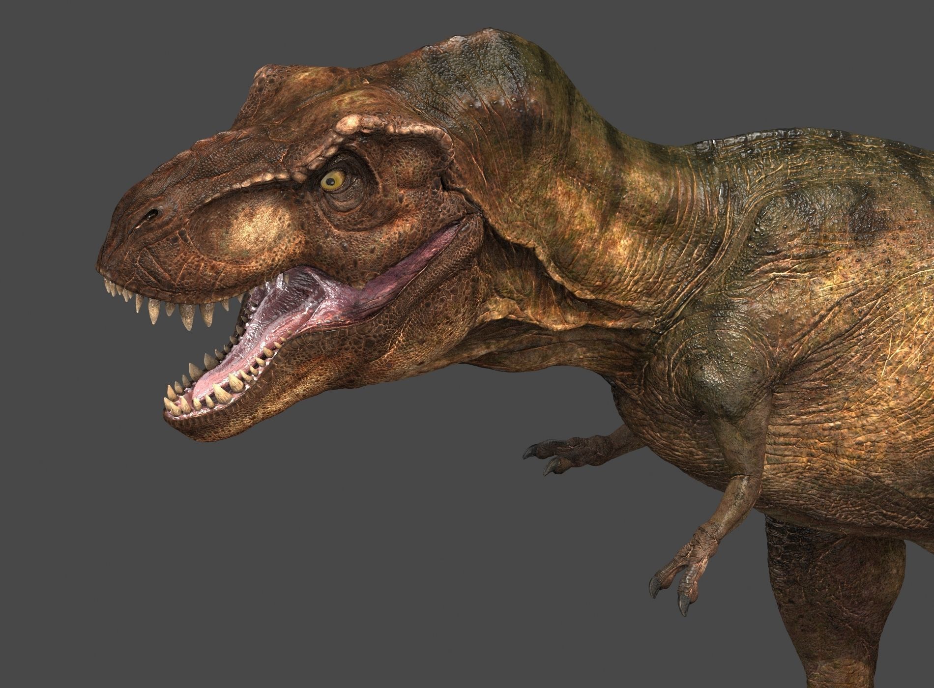 Tyrannosaurus Rex-Animations 3D model_17