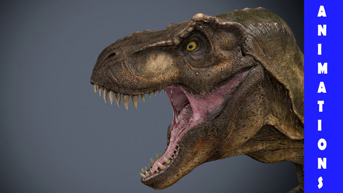 Tyrannosaurus Rex-Animations 3D model