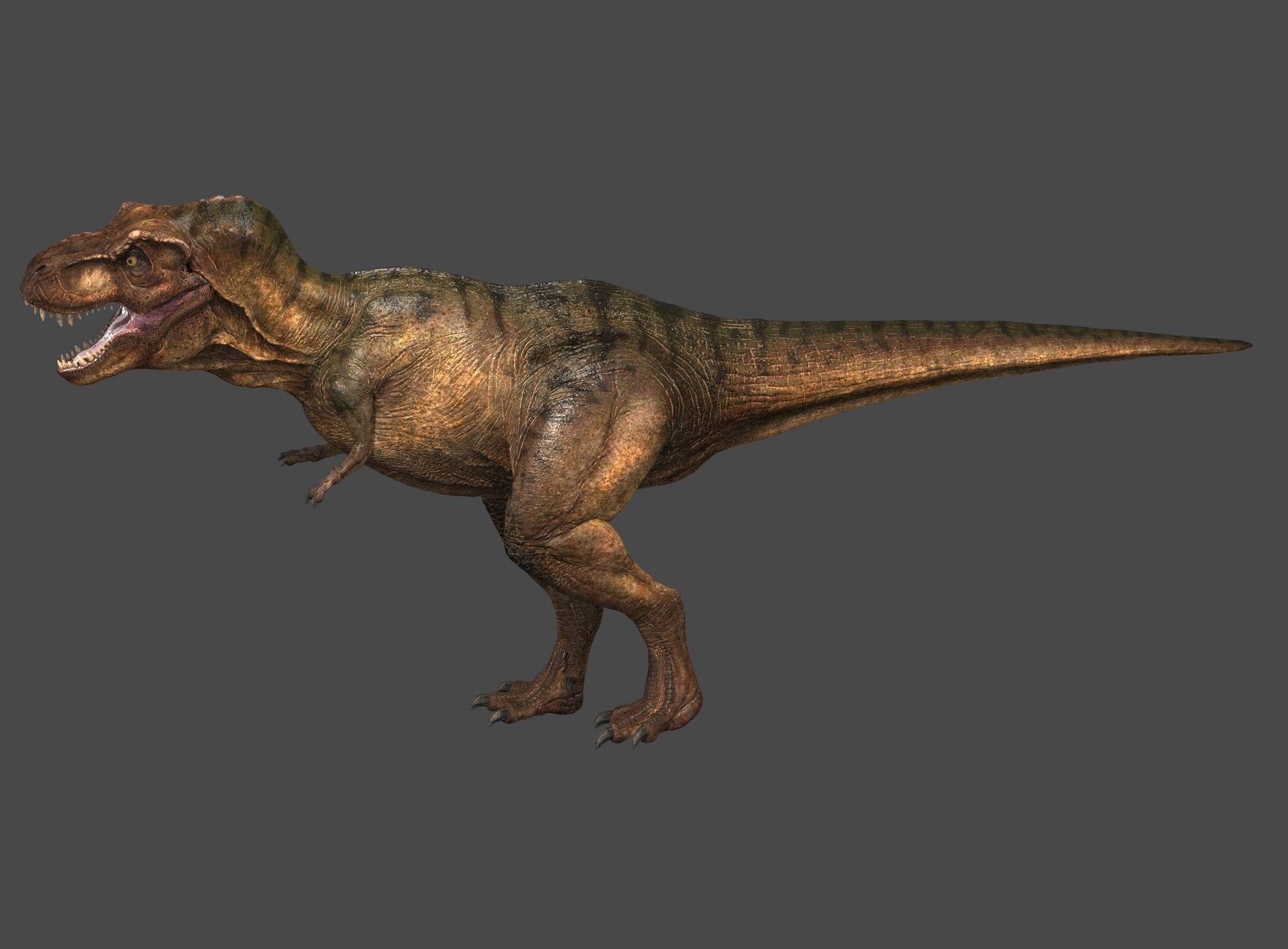 Tyrannosaurus Rex-Animations 3D model_8