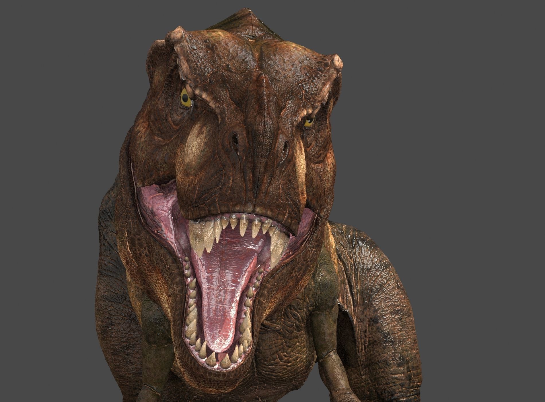 Tyrannosaurus Rex-Animations 3D model_12