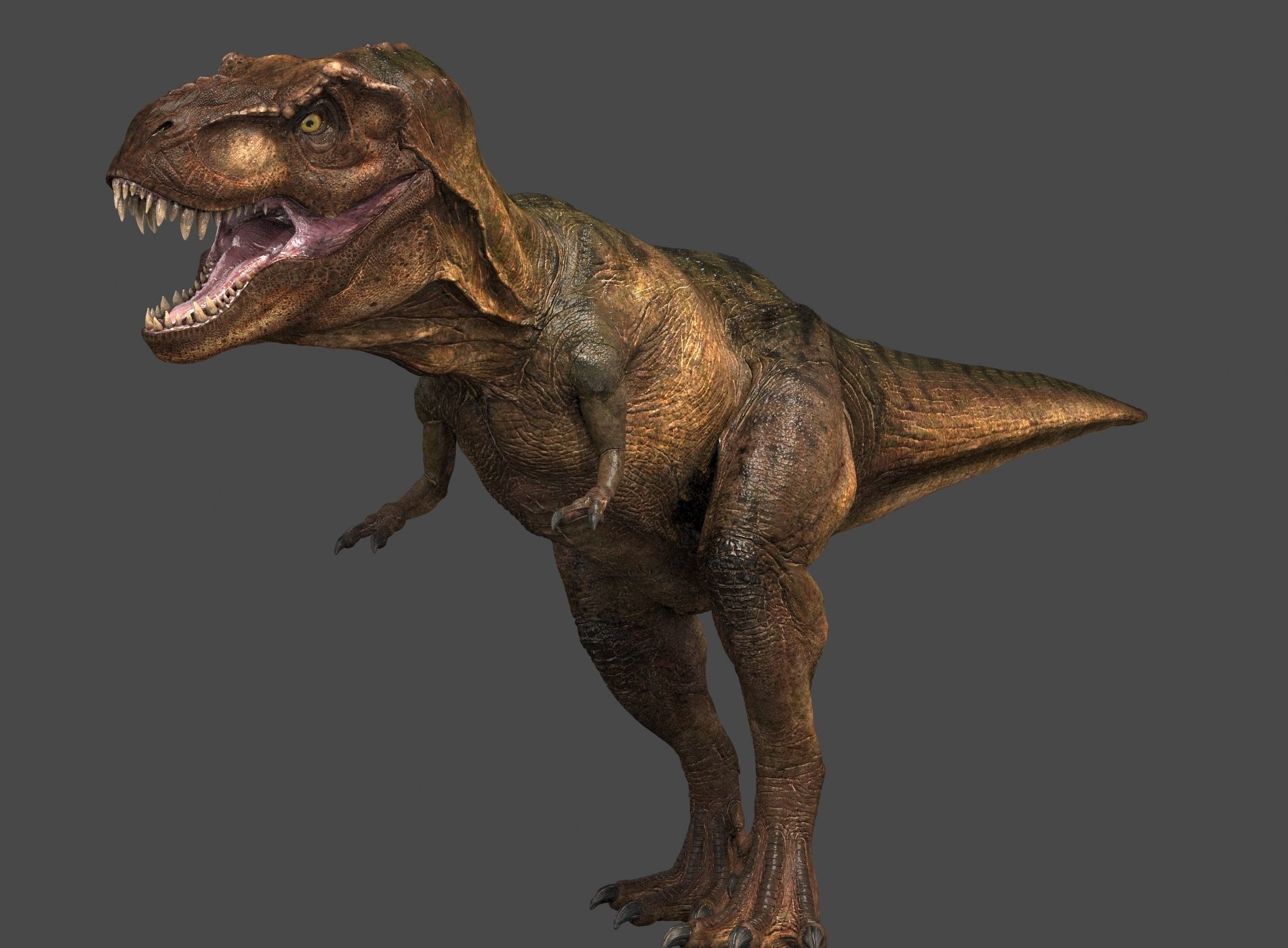 Tyrannosaurus Rex-Animations 3D model_10