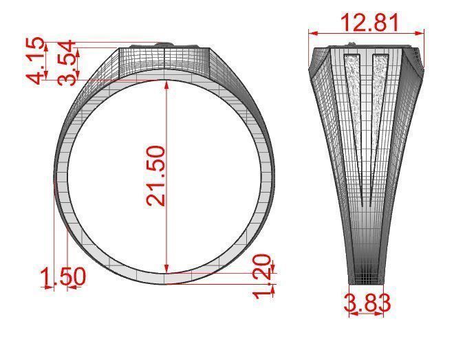 A man s ring with a heraldic lily 3D print model_9