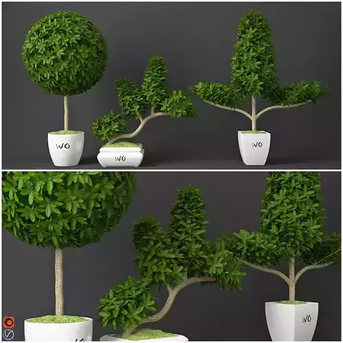 Houseplant 15 3D model
