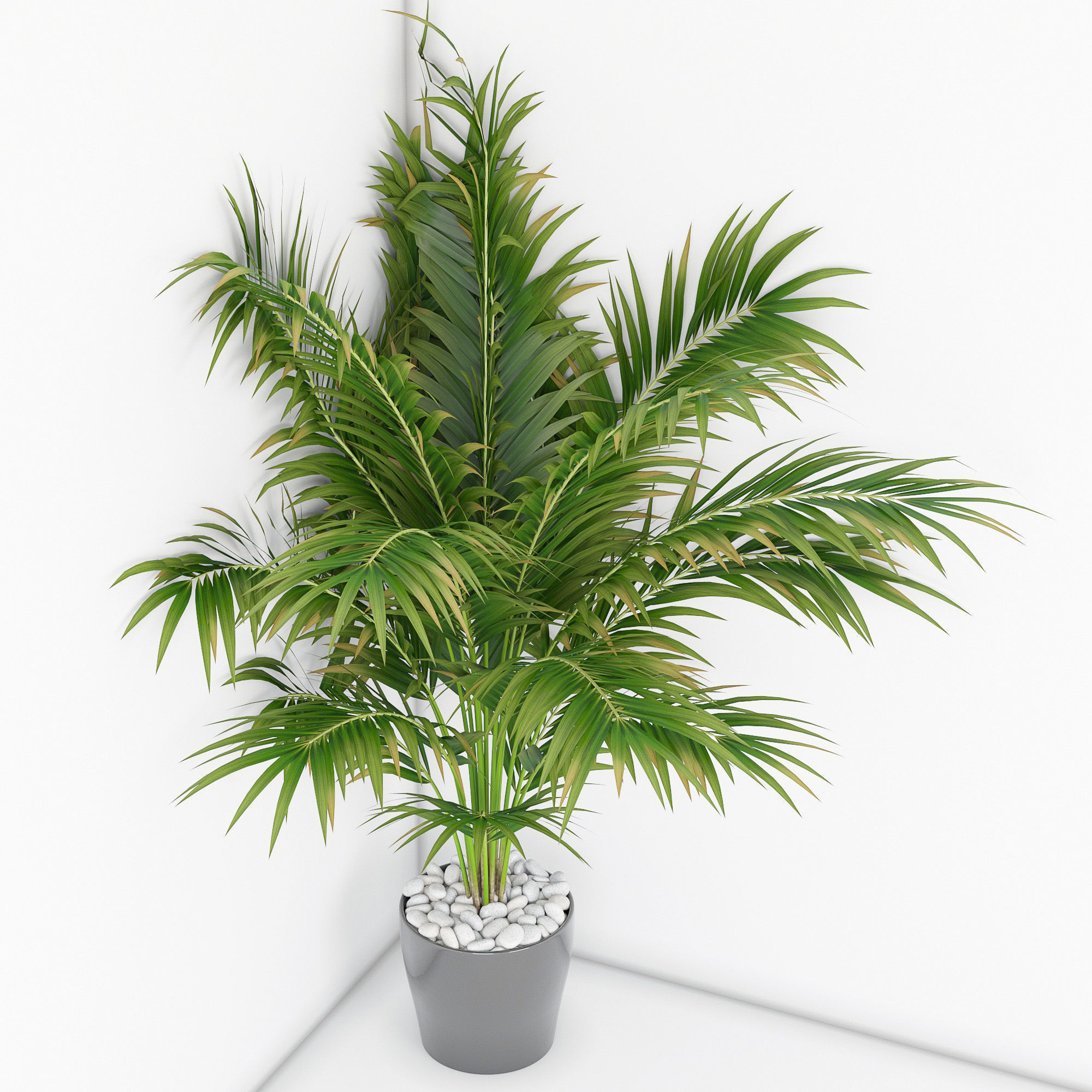 Houseplant 16 3D model_1
