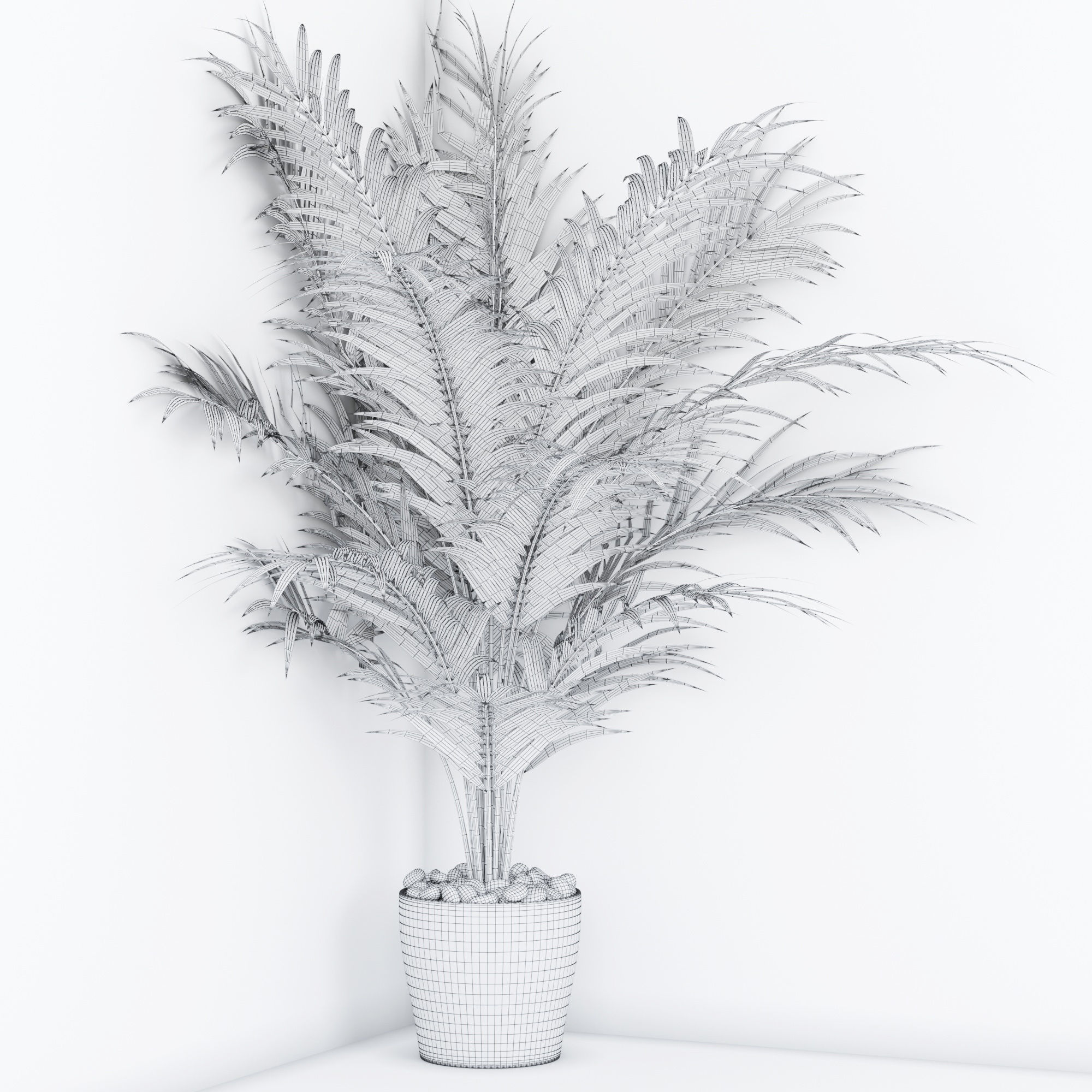 Houseplant 16 3D model_3