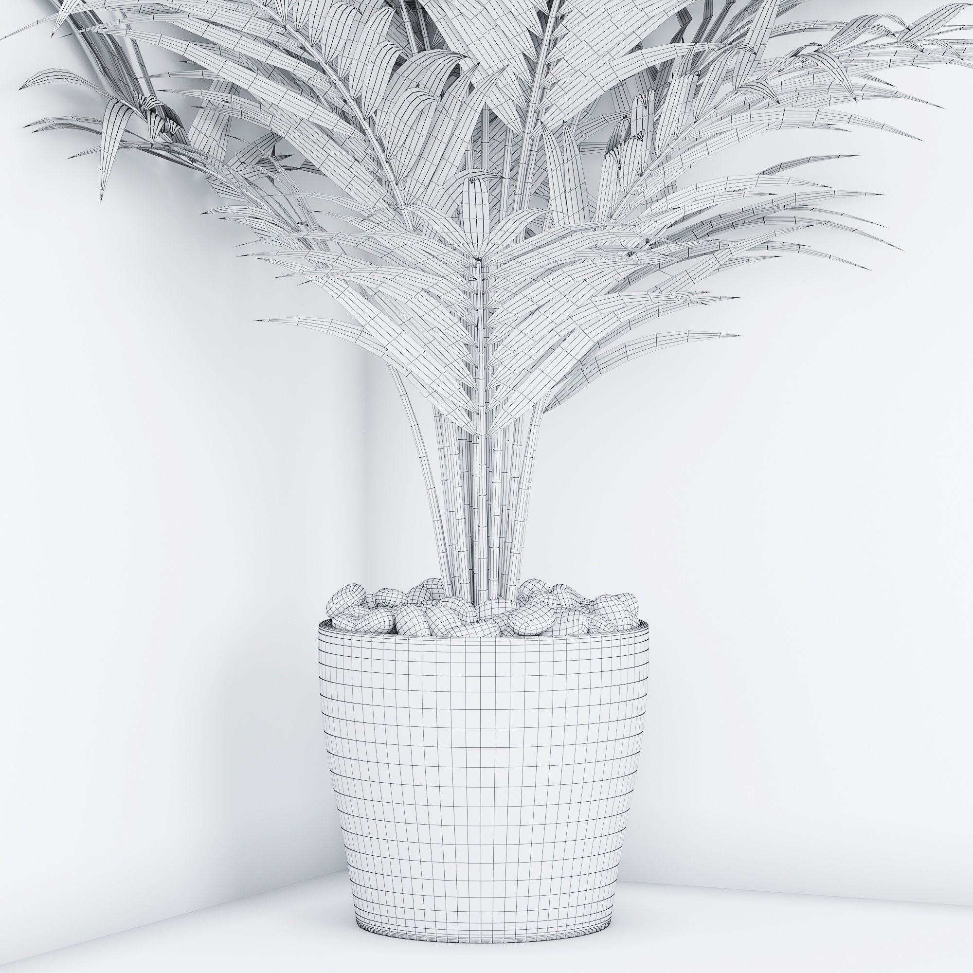 Houseplant 16 3D model_4