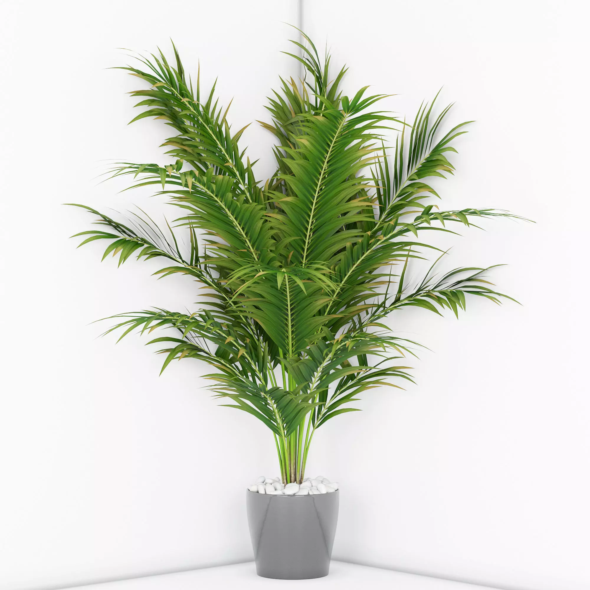 Houseplant 16 3D model_0
