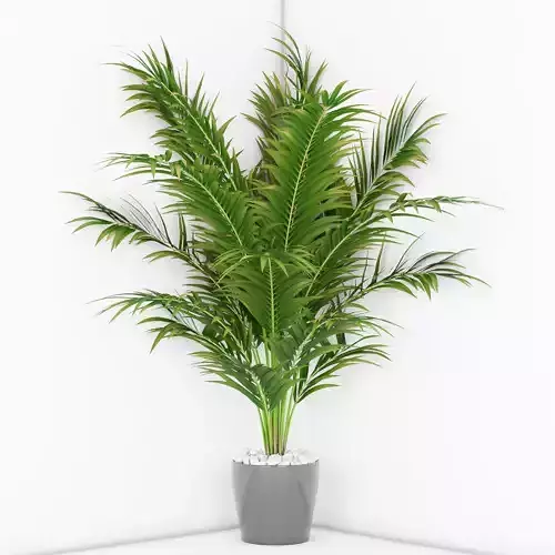 Houseplant 16 3D model