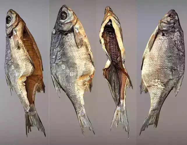 Photorealistic 3Dscan of dried open fish