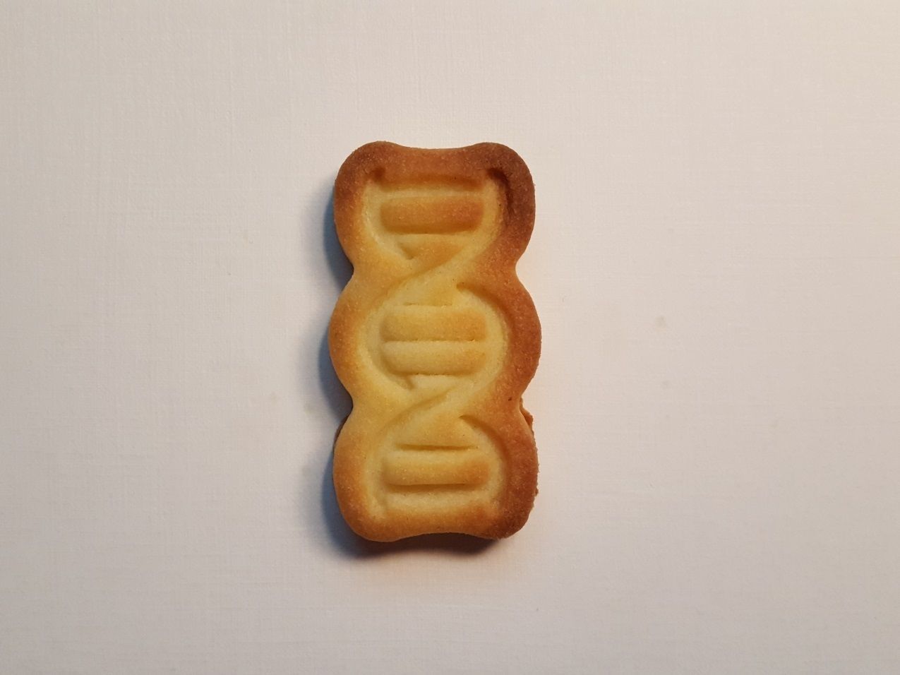 DNA cookie cutter 3D print model_1