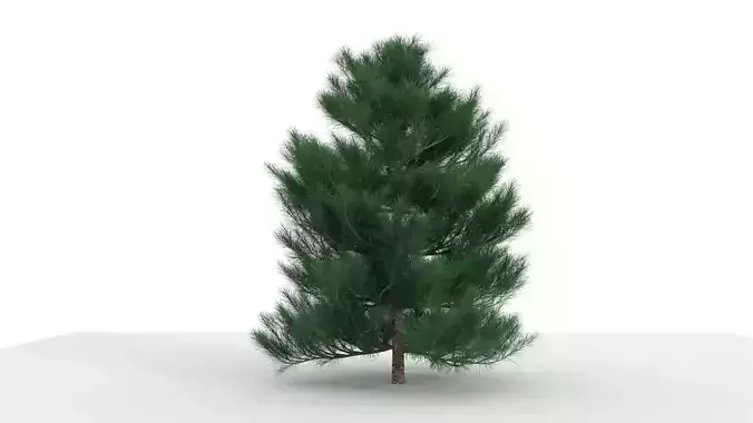 Epic Pine Tree 1