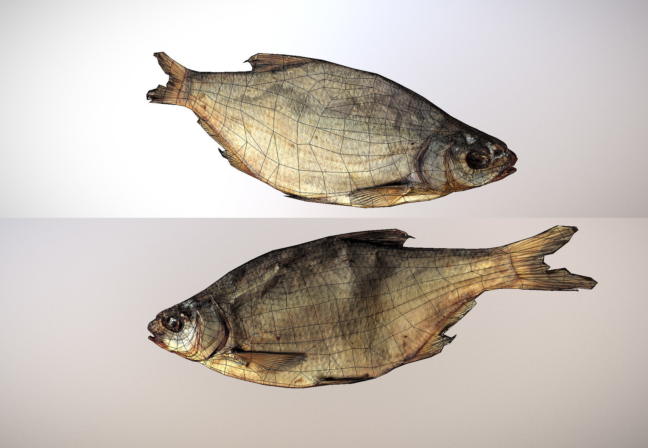 photorealistic dried salty fish scan Low-poly 3D model_9