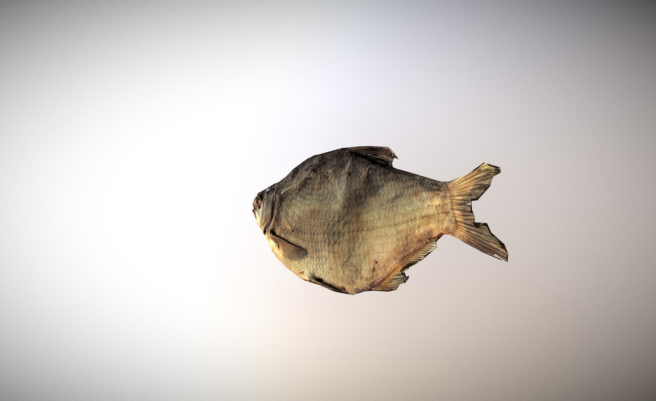 photorealistic dried salty fish scan Low-poly 3D model_1