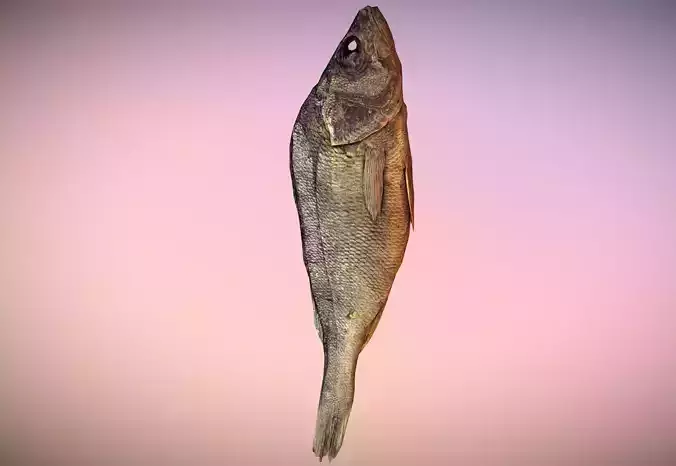 photorealistic scanned dried fish Low-poly 3D model