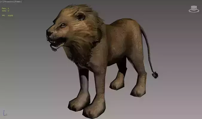 Male Lion Low-poly 3D model