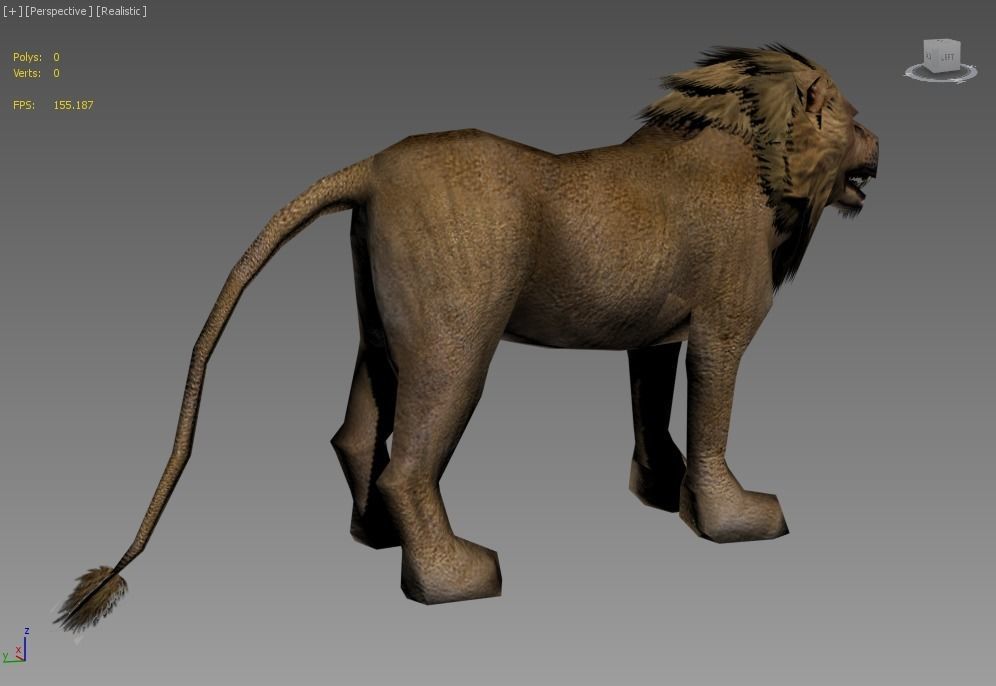 Male Lion Low-poly 3D model_5