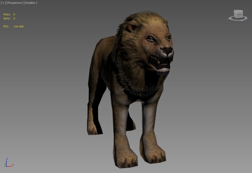 Male Lion Low-poly 3D model_7
