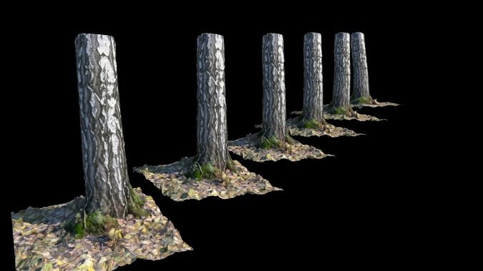 Birch log Low-poly 3D model