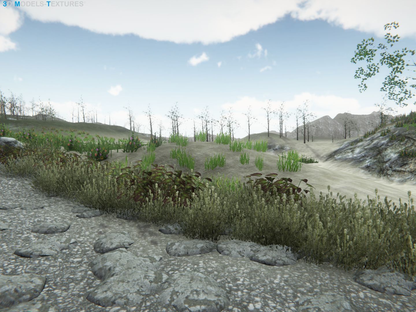 Lake Road Low-poly 3D model_9