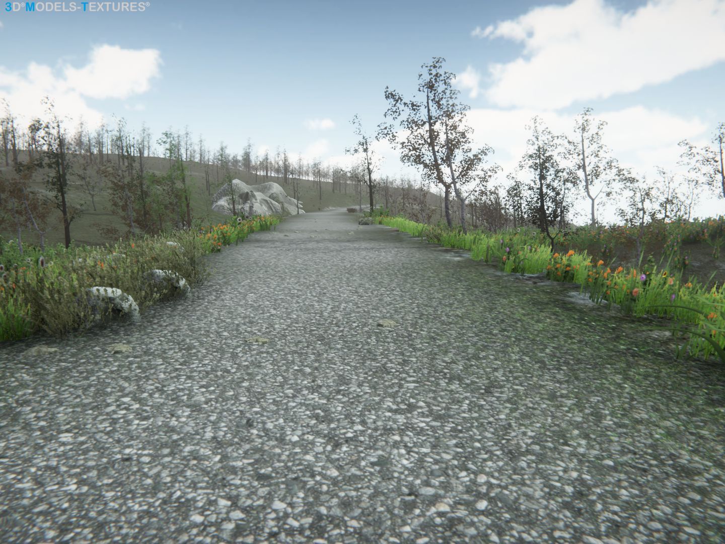 Lake Road Low-poly 3D model_8