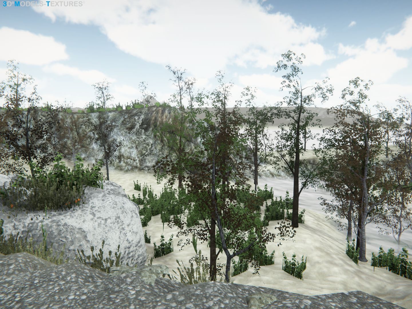 Lake Road Low-poly 3D model_21