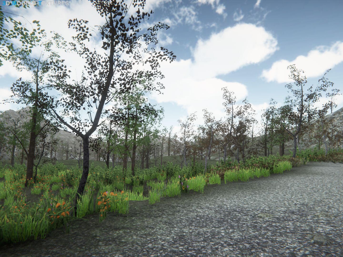 Lake Road Low-poly 3D model_17