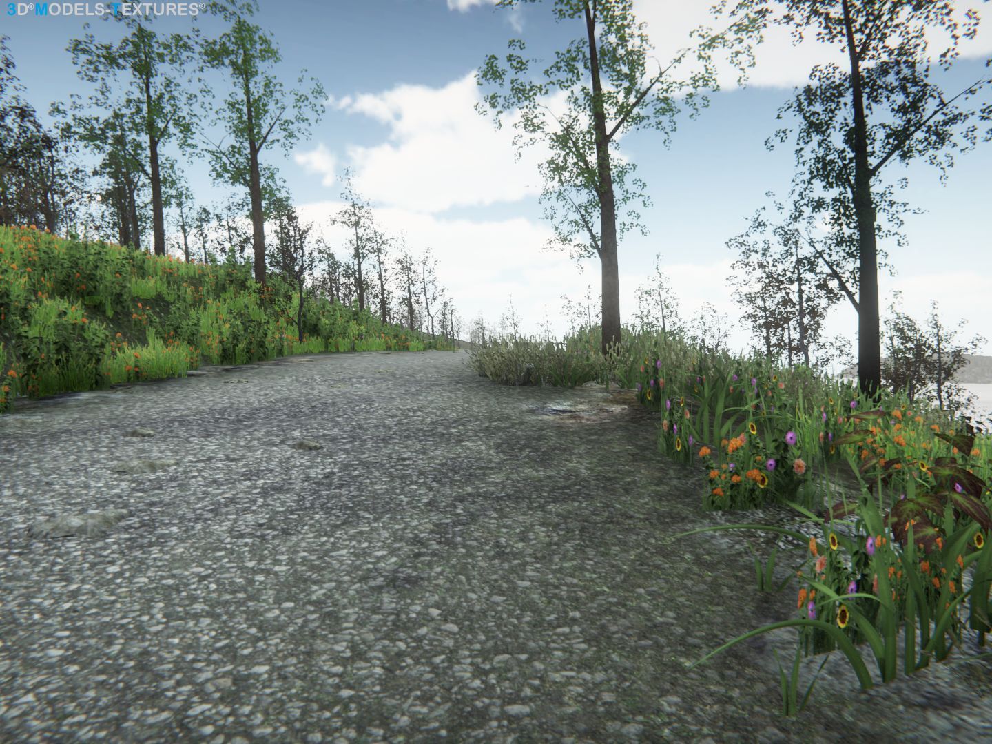 Lake Road Low-poly 3D model_16