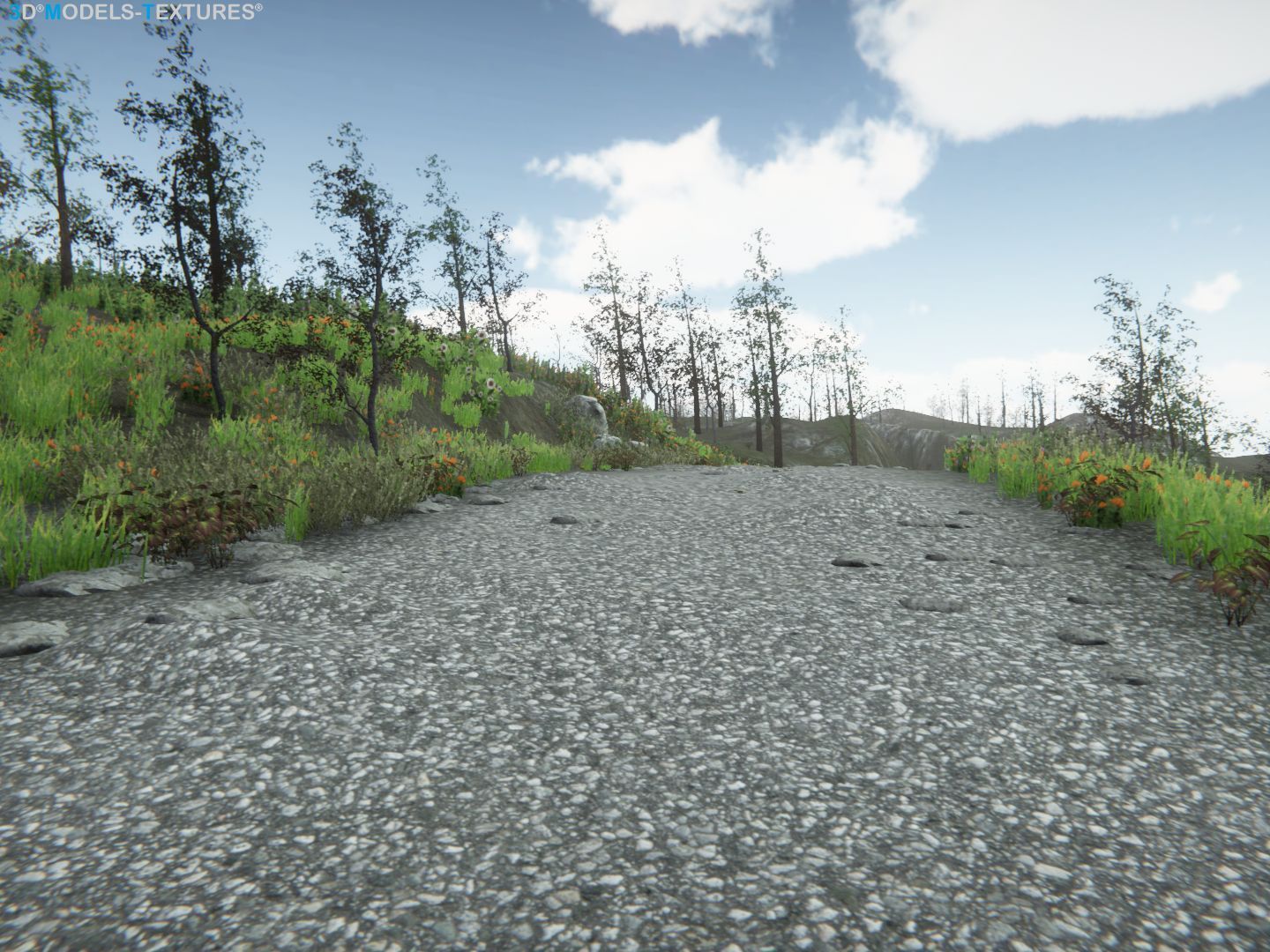 Lake Road Low-poly 3D model_5