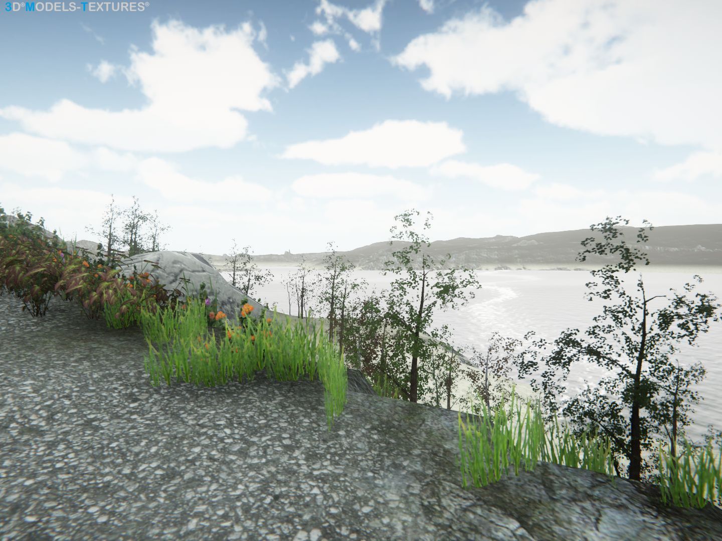 Lake Road Low-poly 3D model_18