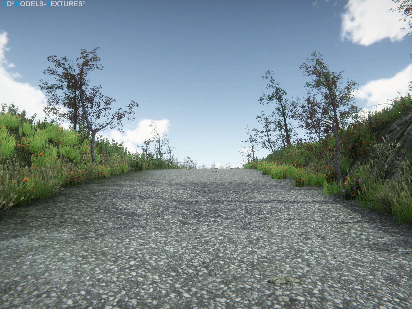 Lake Road Low-poly 3D model_11