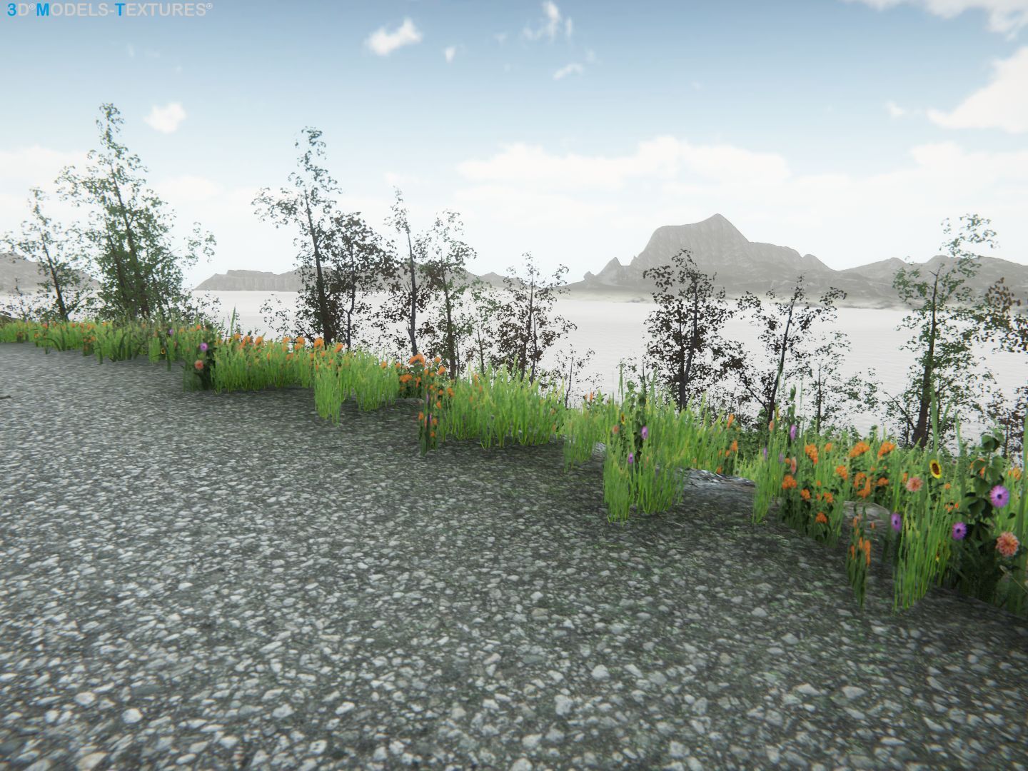 Lake Road Low-poly 3D model_32
