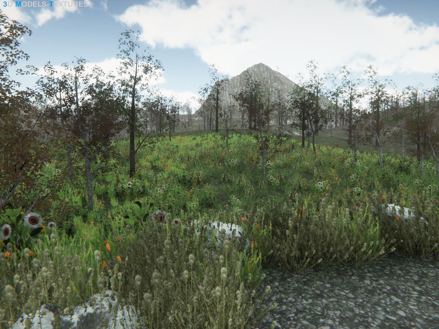 Lake Road Low-poly 3D model_27