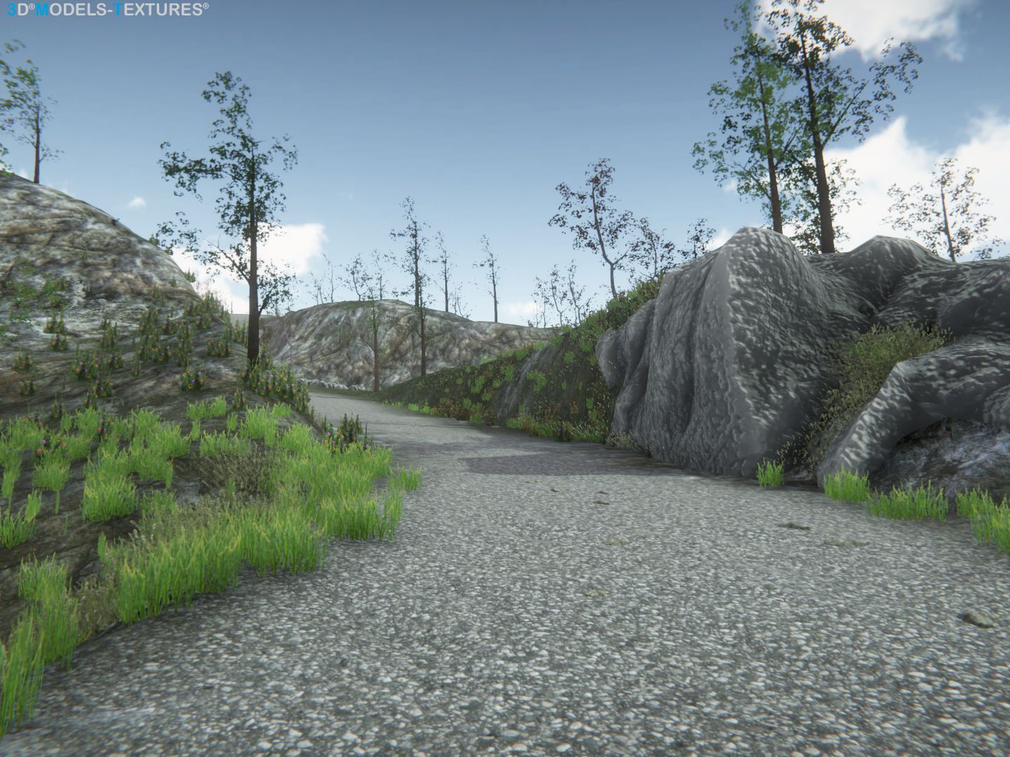 Lake Road Low-poly 3D model_25