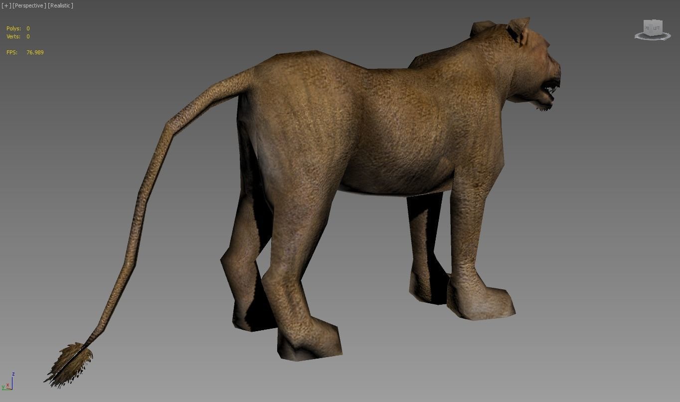 Lioness lion Low-poly 3D model_5