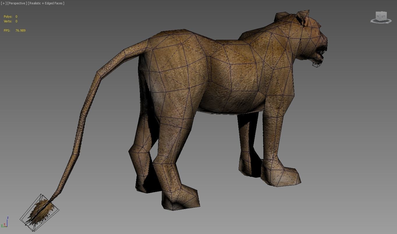 Lioness lion Low-poly 3D model_6
