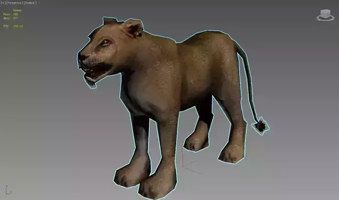 Lioness lion Low-poly 3D model