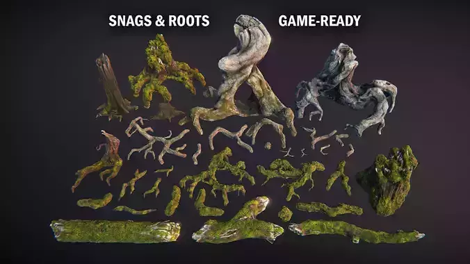 Snags and roots  Low-poly 3D model