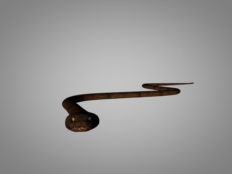 Snake Cobra Low-poly 3D model_3