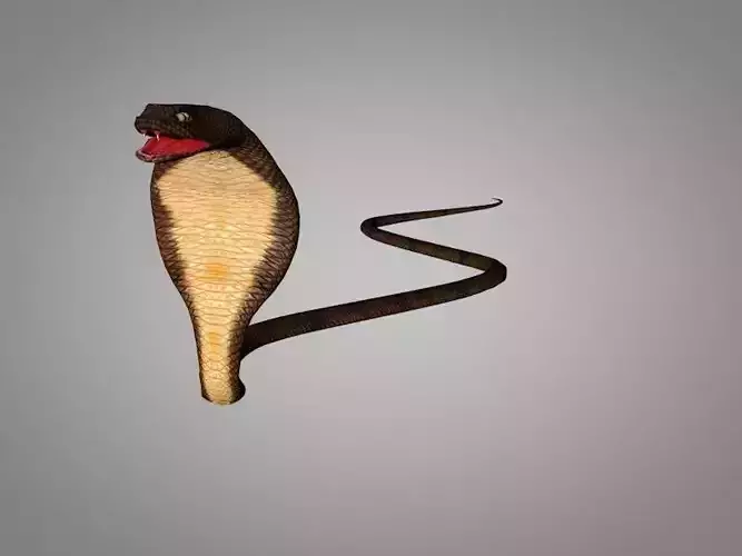 Snake Cobra Low-poly 3D model