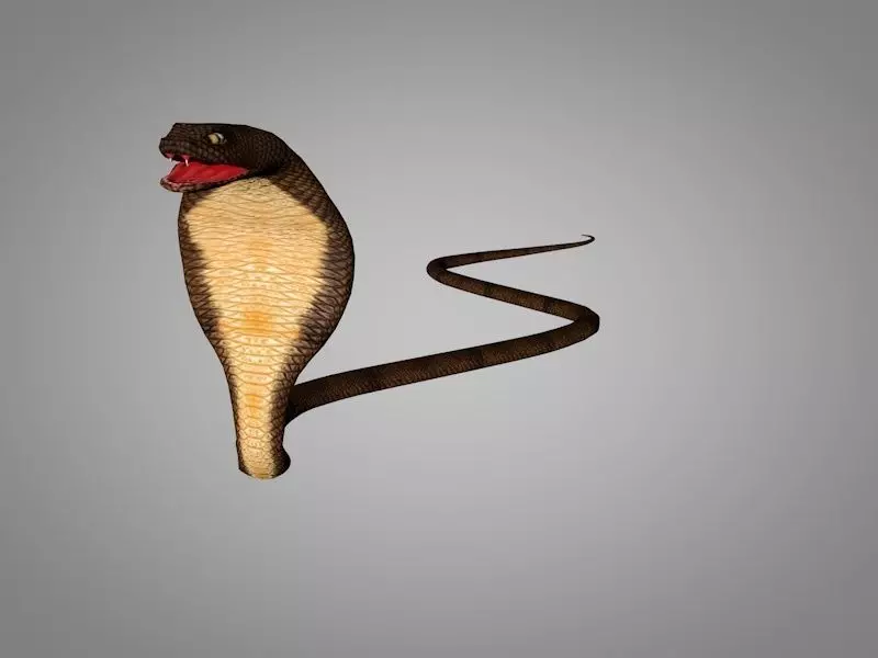 Snake Cobra Low-poly 3D model_0