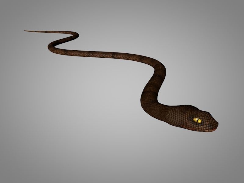 Snake Cobra Low-poly 3D model_4