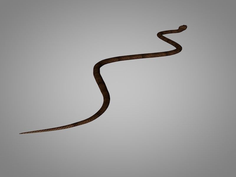 Snake Cobra Low-poly 3D model_2