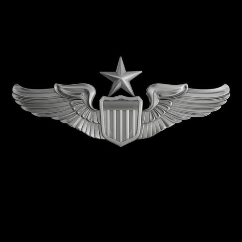 Senior Pilot USAF Wings Badge 3D model