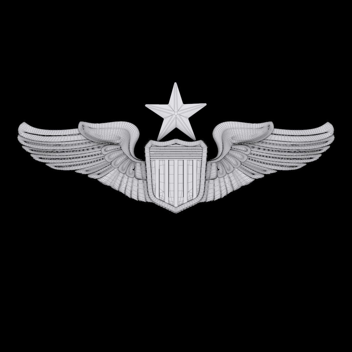 Senior Pilot USAF Wings Badge 3D model_1