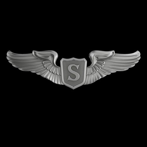 USAAF Service Pilot Wings Badge 3D model
