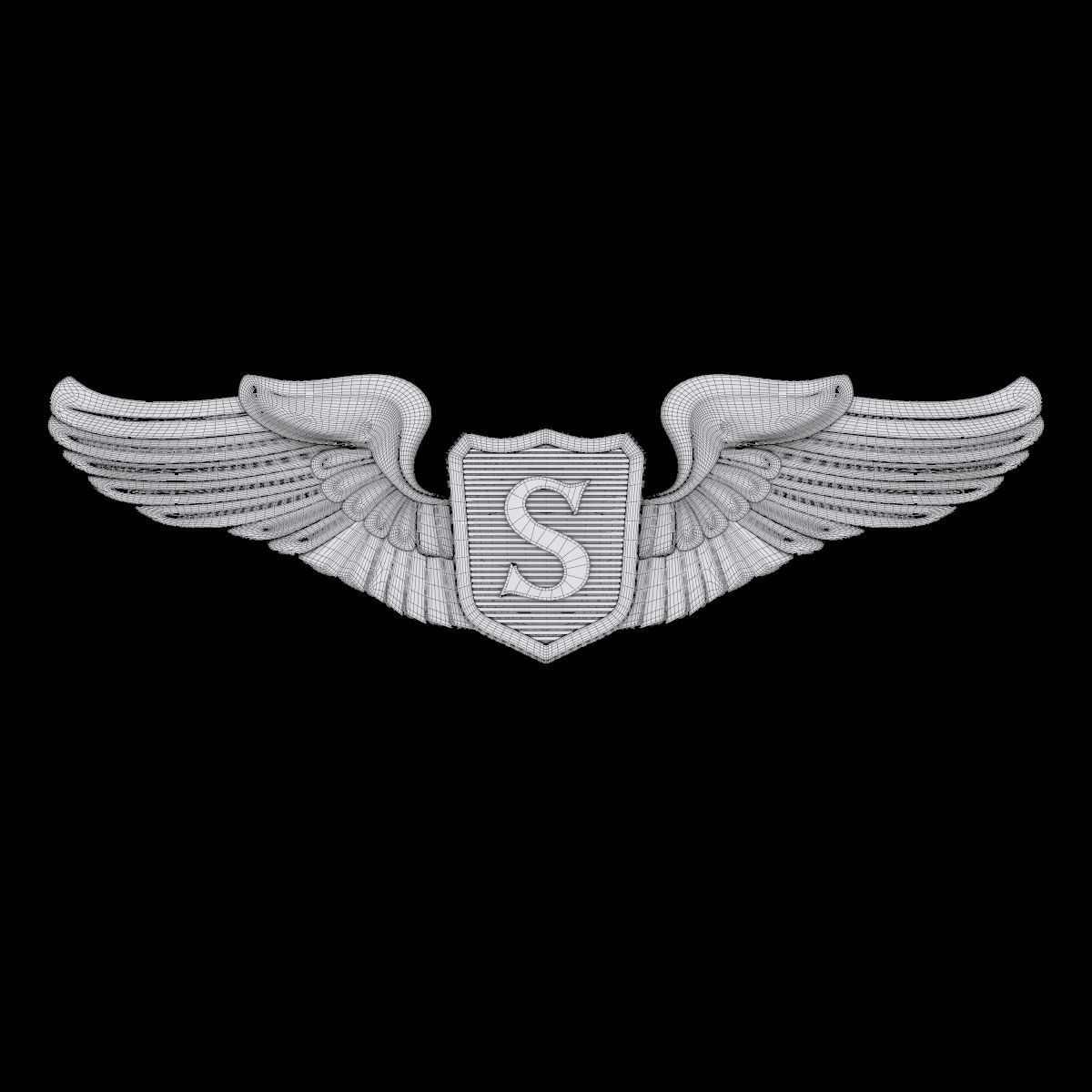 USAAF Service Pilot Wings Badge 3D model_1
