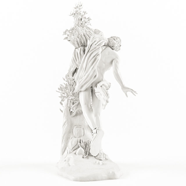 Gian Lorenzo Bernini - Apollo and Daphne 3D print model_4